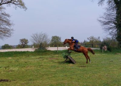 Photo d'un cheval monté