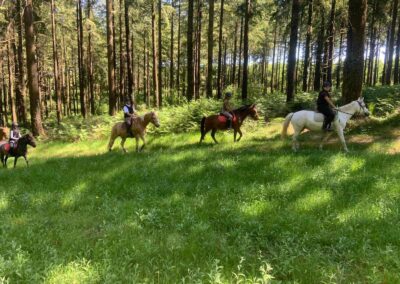 Photo d'une balade à cheval